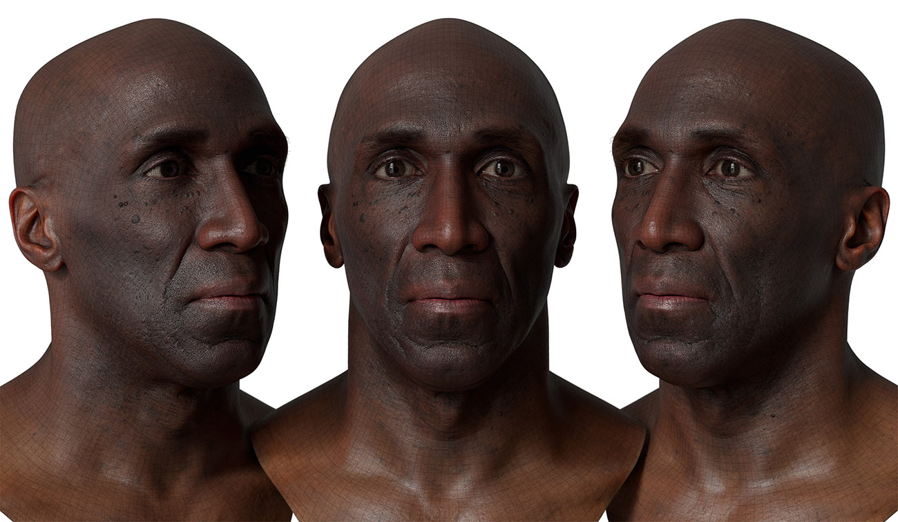 head model wireframe mesh